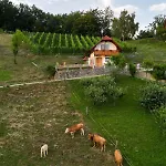 度假居 In - Dolenjska & Bela Krajina Unter- & Weisskrain 26032 特贝尔诺