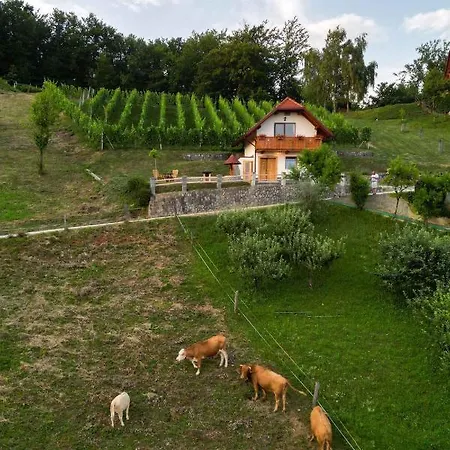 Prázdninový dům In - Dolenjska & Bela Krajina Unter- & Weisskrain 26032 Trebelno
