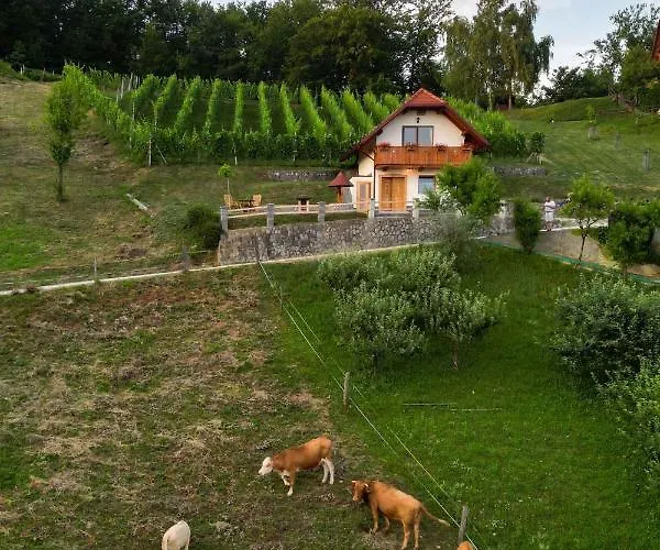 Vakantiehuis In - Dolenjska & Bela Krajina Unter- & Weisskrain 26032 Trebelno