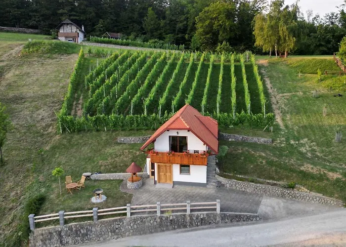 Vakantiehuis In - Dolenjska & Bela Krajina Unter- & Weisskrain 26032 *