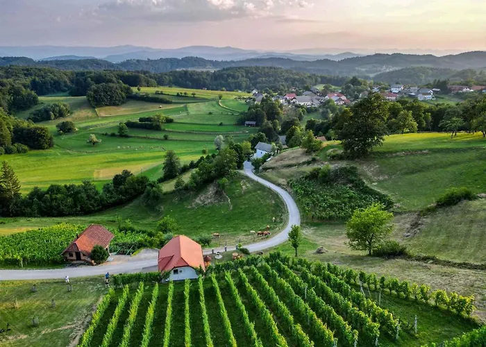 In - Dolenjska & Bela Krajina Unter- & Weisskrain 26032 Vakantiehuis Trebelno