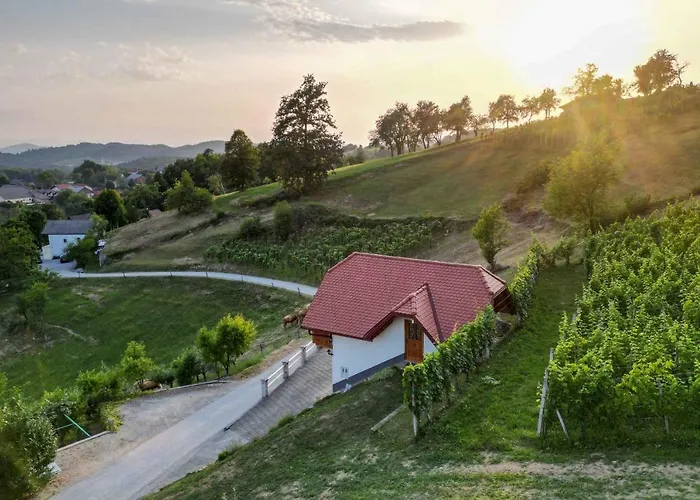 Vakantiehuis In - Dolenjska & Bela Krajina Unter- & Weisskrain 26032 *
