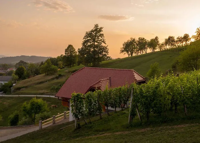 In - Dolenjska & Bela Krajina Unter- & Weisskrain 26032 *